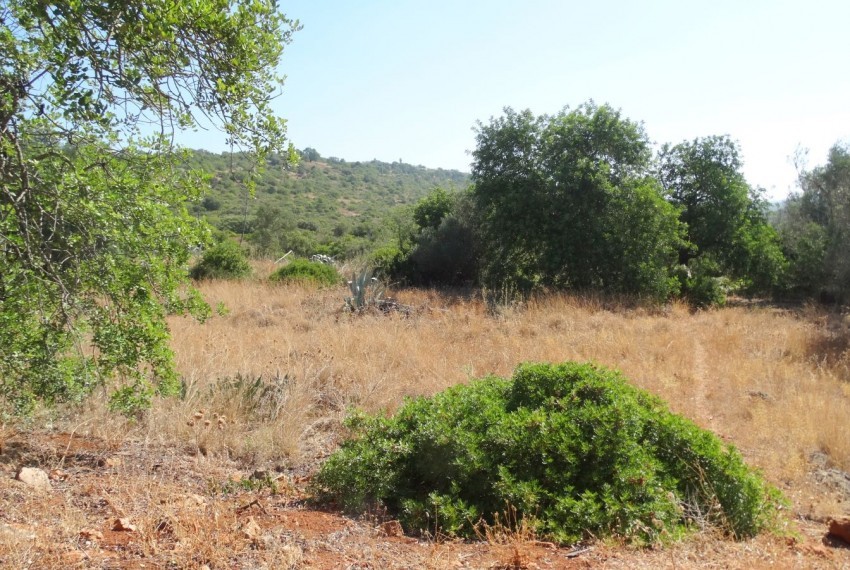 Land For Sale in Loule Portugal