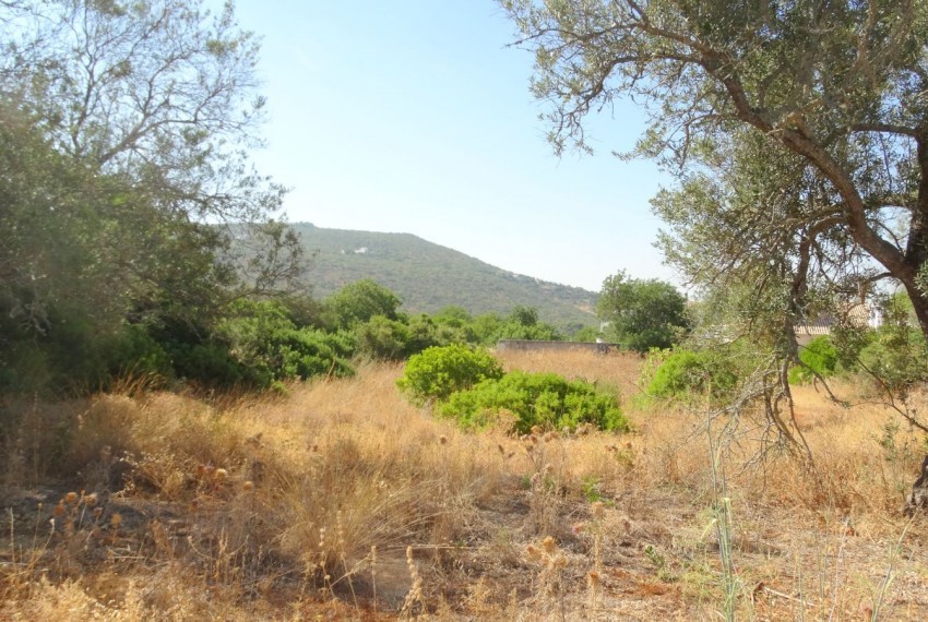 Land For Sale in Loule Portugal