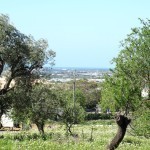 Land For Sale In Faro Portugal