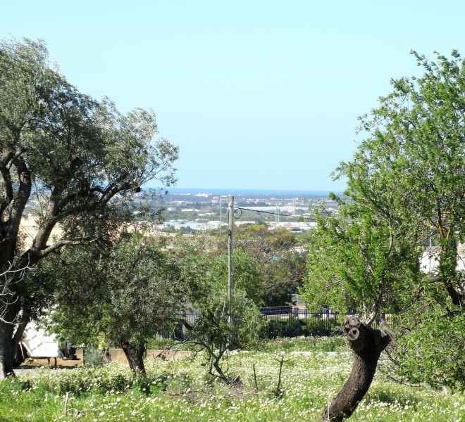 Buy property in the Algarve, Land For Sale In Faro Portugal