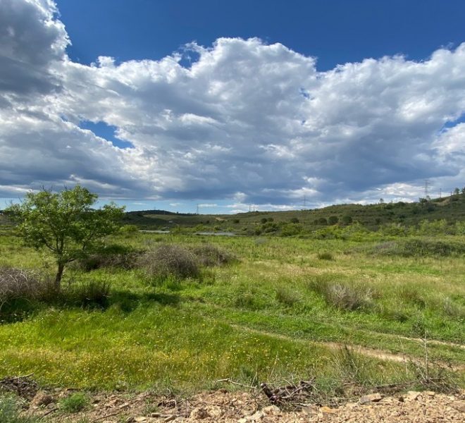 Land For Sale in Silves Portugal